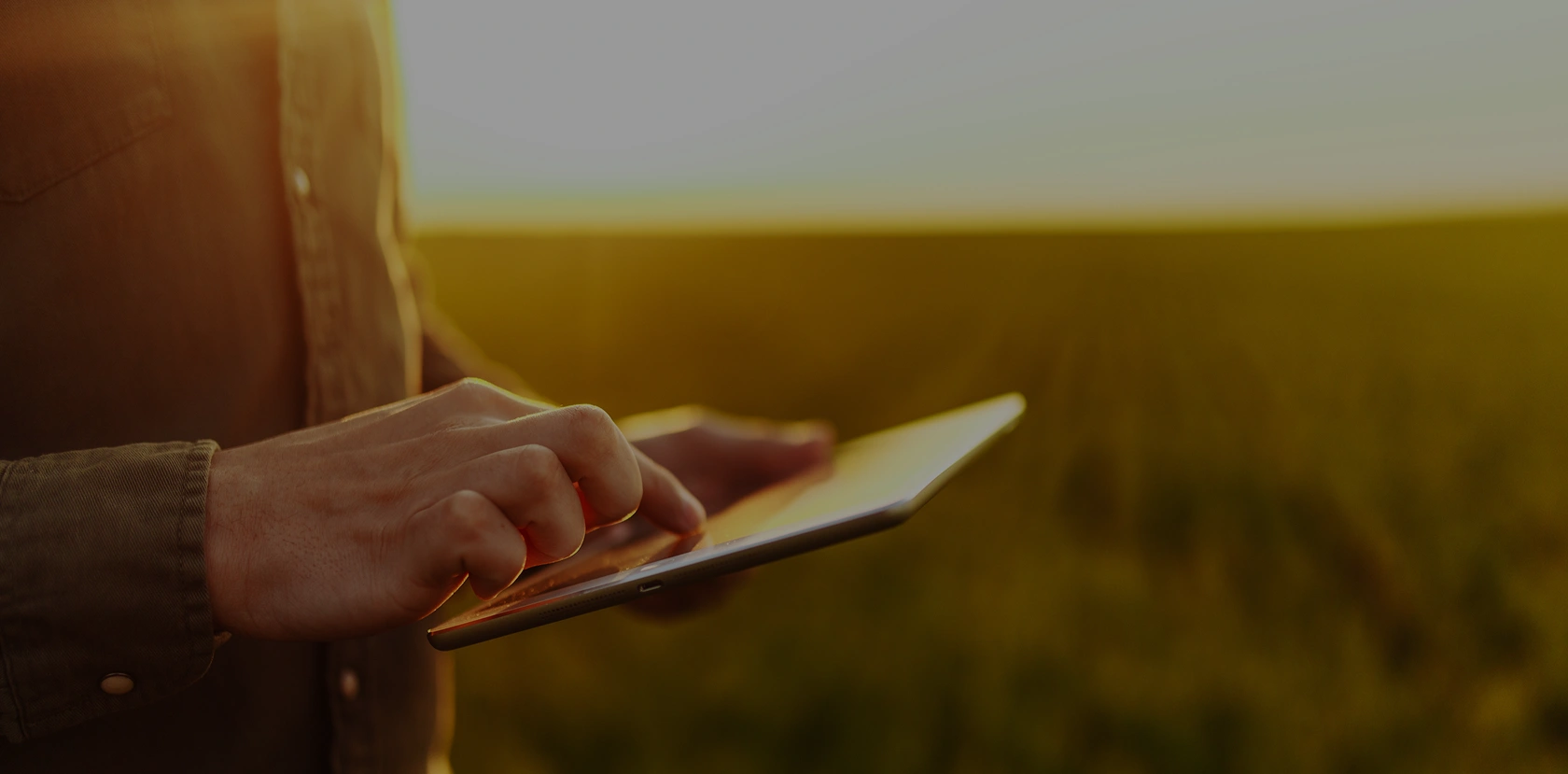 Producer checking cattle market data on a tablet in a paddock