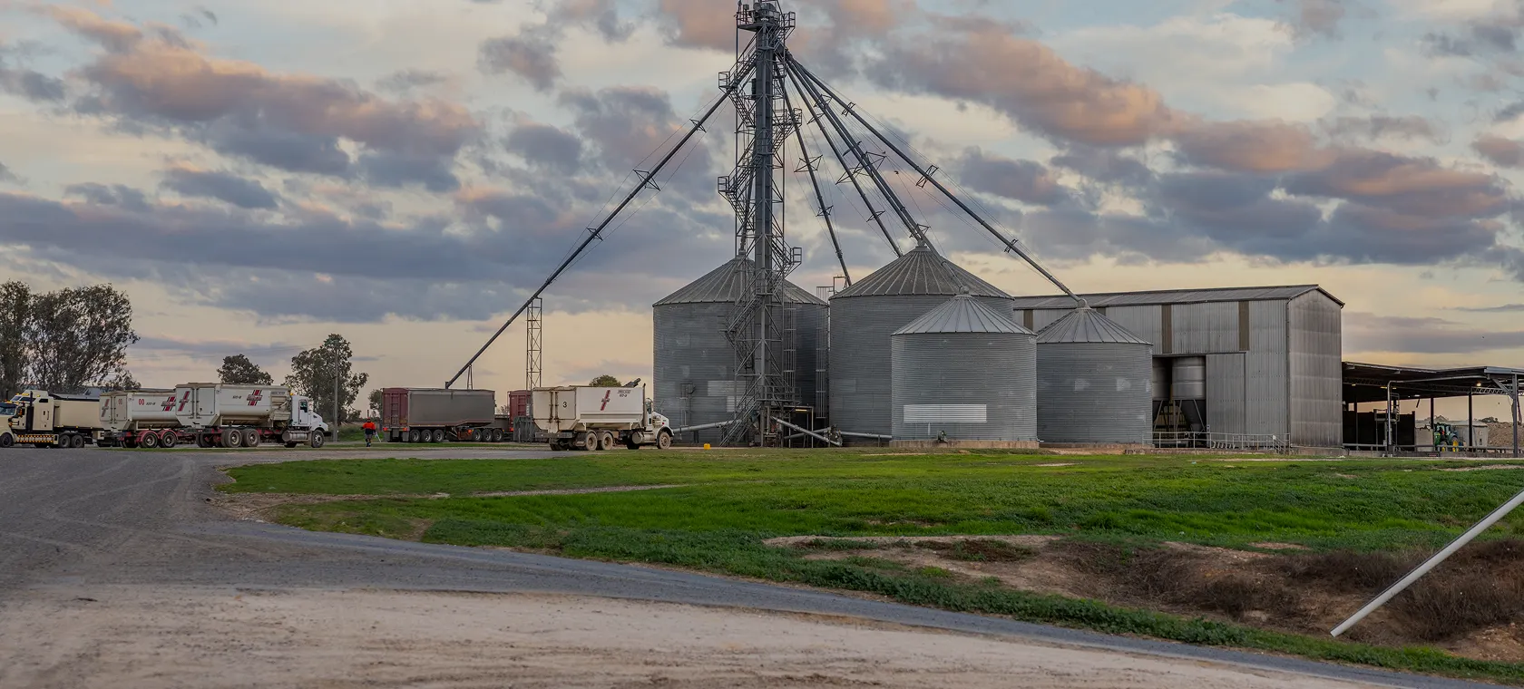 Grain silos and feed mill at an Allied Beef feedlot