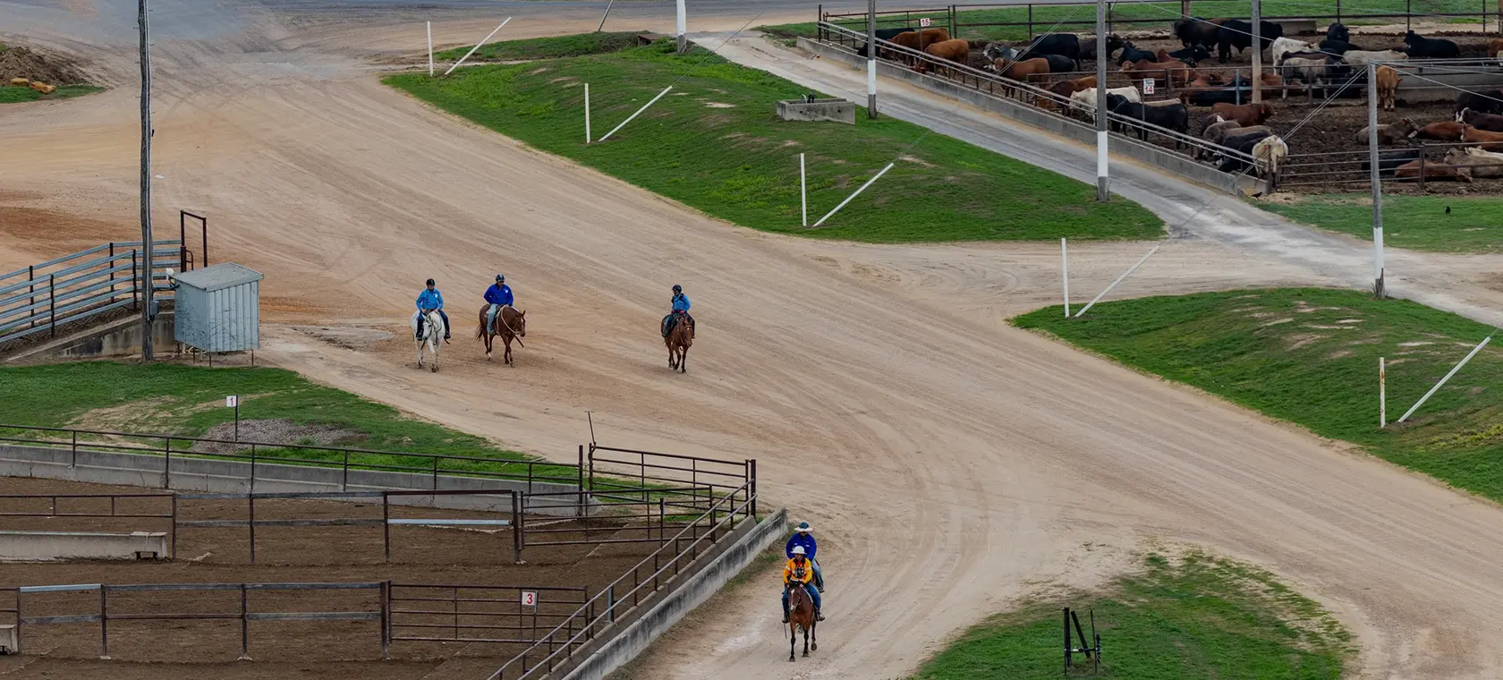 Aerial view of three Allied Beef stockmen on horseback beside feedlot pens