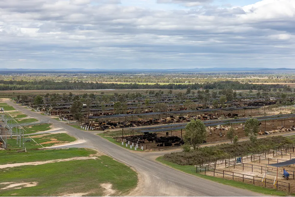 Aerial view of an Allied Beef feedlot spread across open plains