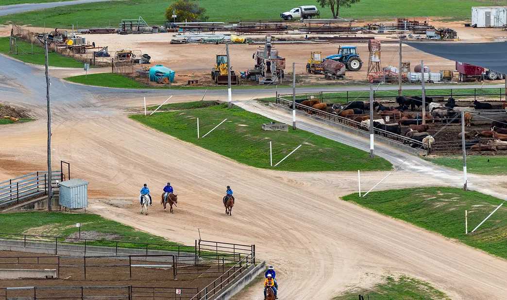 Three Allied Beef stockmen riding horses along a feedlot road