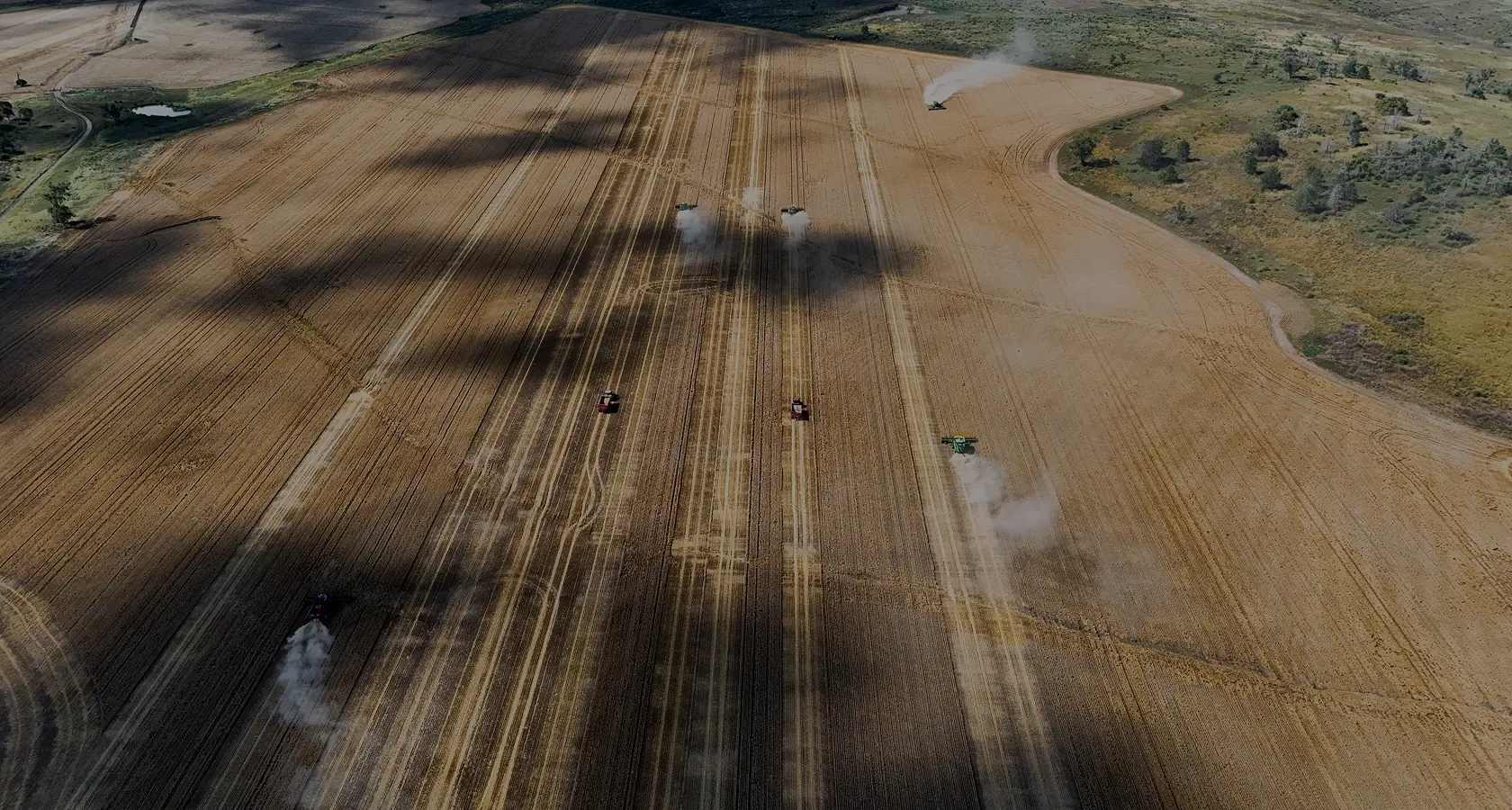 Aerial view of headers harvesting a grain crop on Allied Beef country