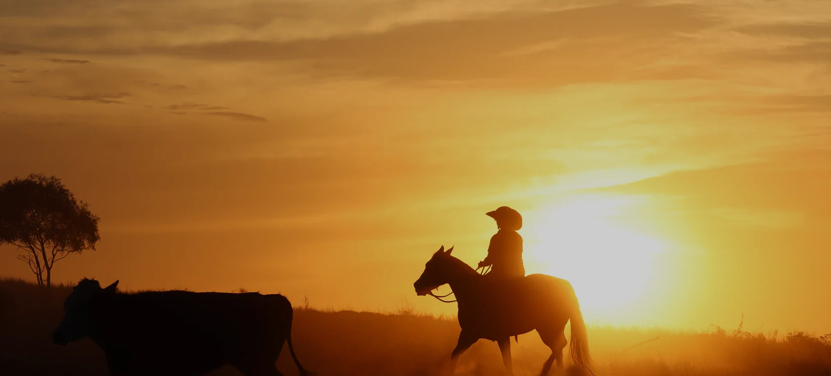 Stockman on horseback silhouetted against a golden sunset