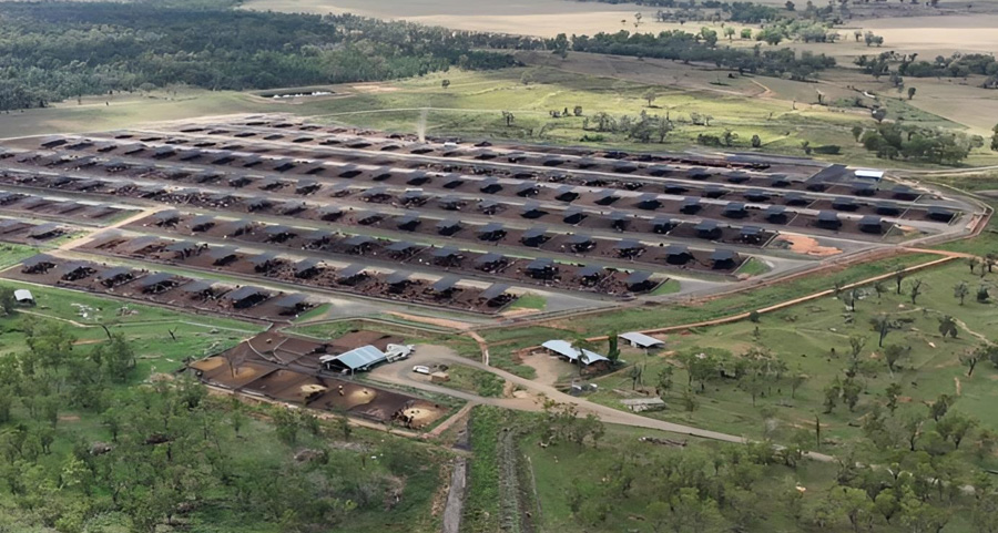Aerial view of the feedlot pens and surrounding country at Gunyerwarildi Station
