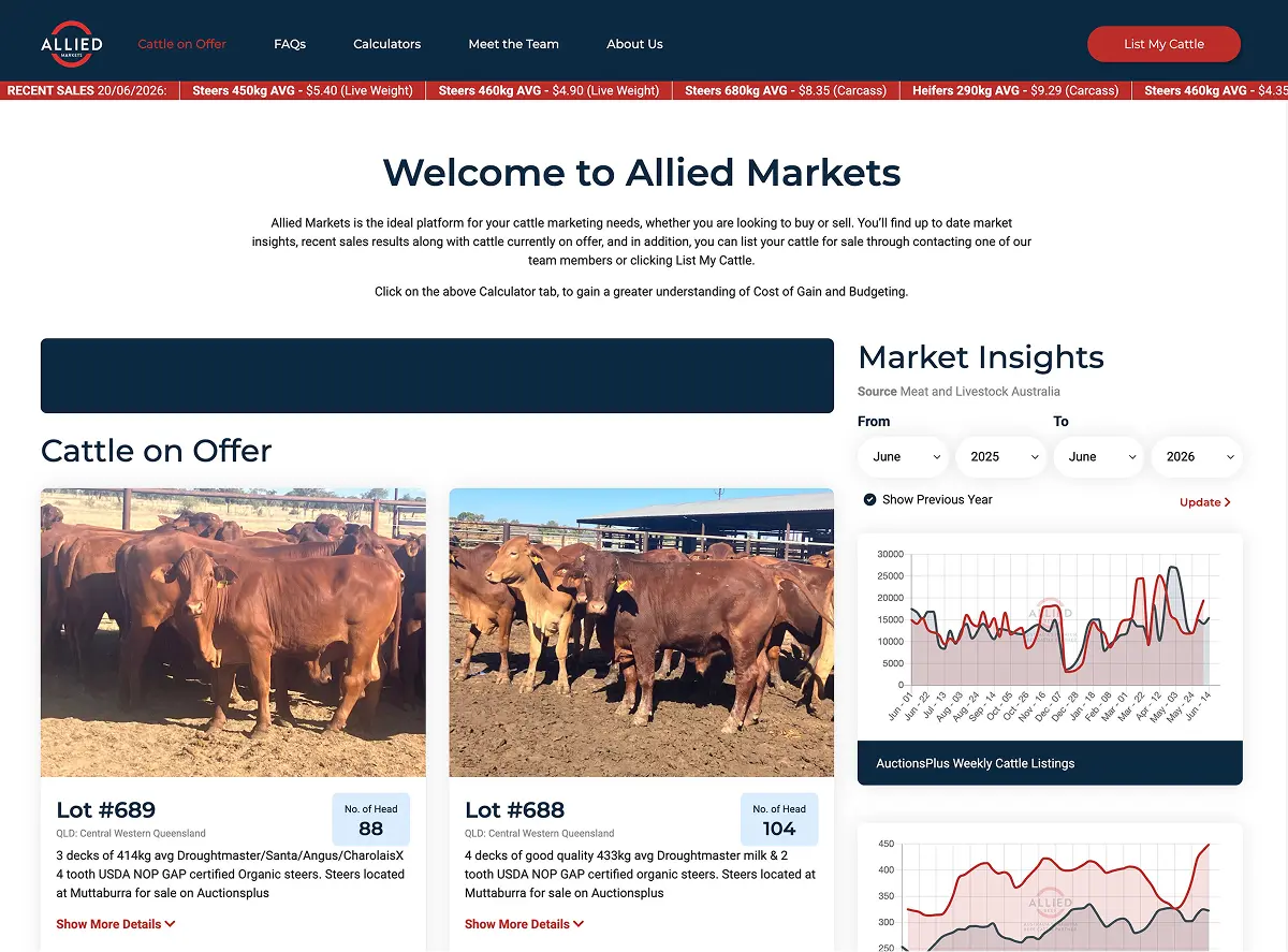 Allied Markets dashboard showing cattle on offer and market insight charts